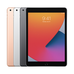 Apple iPad